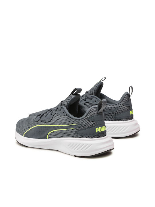 Incinerate Sport Shoes Training Gray