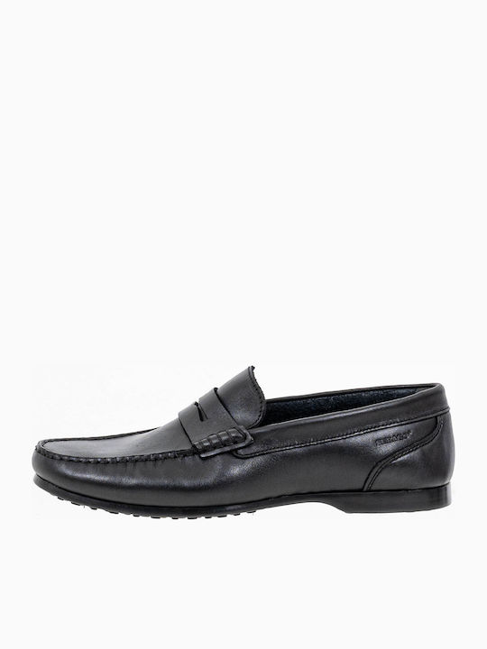 Sebago