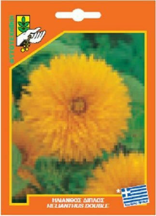 Geniki Fytotechniki Athinon Samen Sonnenblume Doppelt