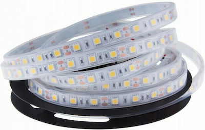 Eurolamp Pro Водоустойчива LED Лента Захранване 24V с Студено бяло Светлина Дължина 5m и 60 LED на Метър SMD2835