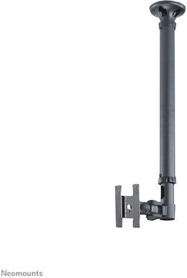 Newstar FPMA-C100 FPMA-C100 TV Mount Ceiling with Arm up to 30" and 12kg