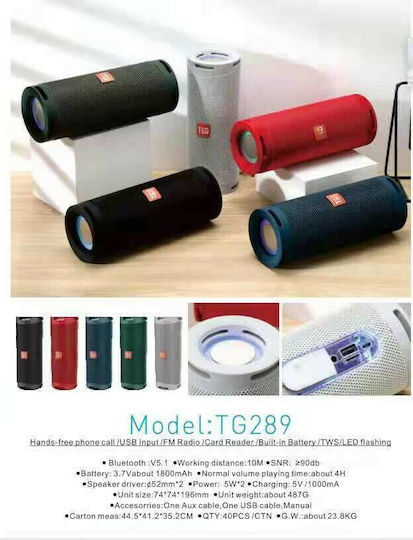 T&G TG-289 Bluetooth Speaker 5W with Radio Silver