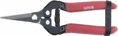 Pruning Shears Grape