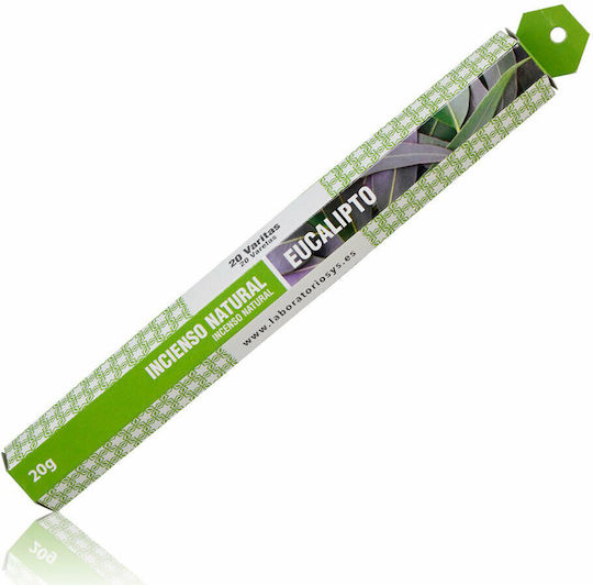 Laboratorio SyS Αρωματικά Sticks με Άρωμα Ευκάλυπτος 03824 20τμχ