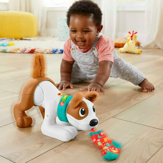 Fisher Price Ζωάκι Σκυλάκι Μπουσουλάκι με Φως και Ήχους για 6+ Μηνών