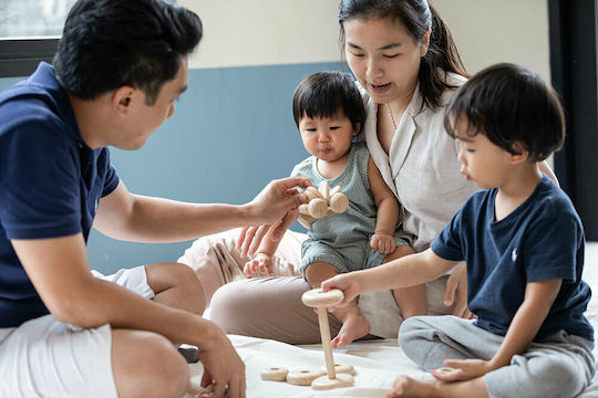Plan Toys Push Along Baby Car made of Wood for 0++ Months