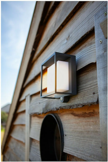 Lutec Curtis Wall Mounted Solar Light 3W 300lm Warm White 3000K with Motion Sensor and Photocell IP54 19cmx16.5cmx95cmcm
