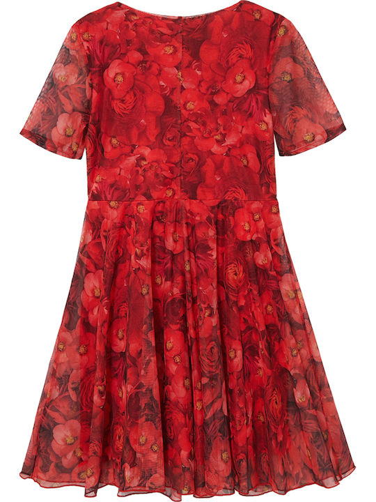 Desigual Desigual