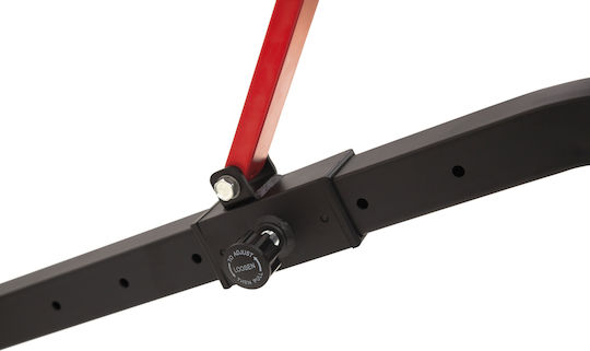 AMILA Adjustable Workout Bench