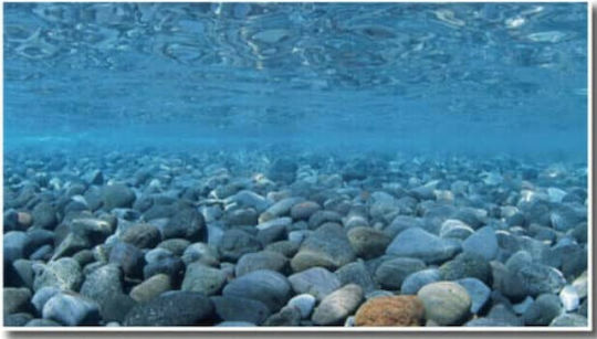 Amtra Wave Double Vision Aquarium Decoration Poster