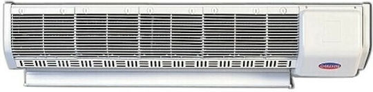Olefini Αεροvorhang Breite: 115cm mit maximaler Luftstromstärke von 2425m³/h RWH-22 ΔWΗ-22