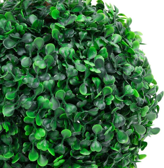 vidaXL Buxus Outdoor Tree Green