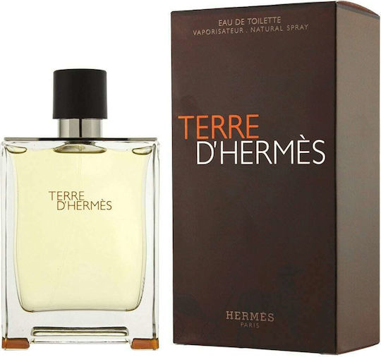 Hermes Terre D' Hermes Eau de Toilette 100ml | Skroutz Romania