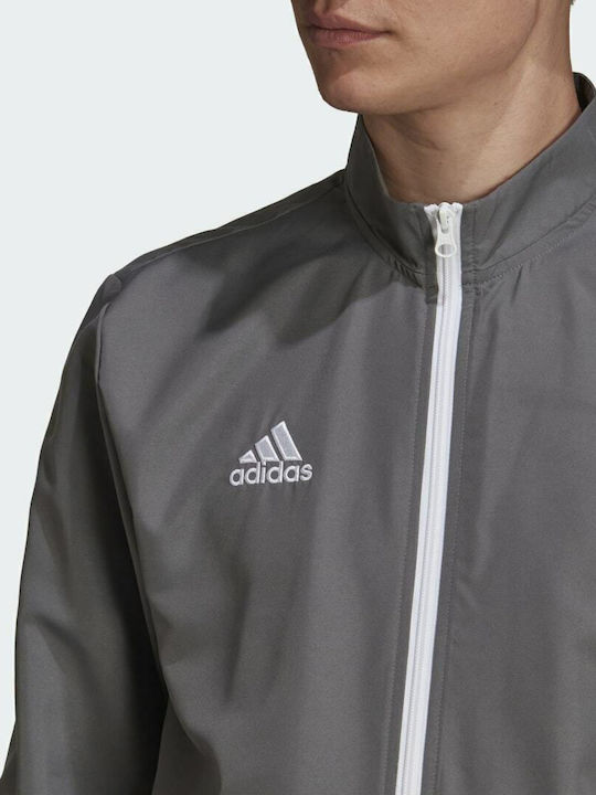 Entrada 22 Presentation Men's Gray Jacket