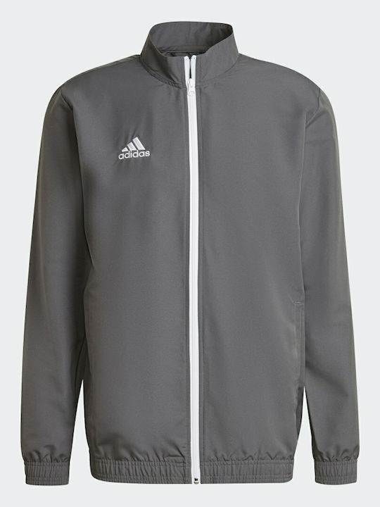 Entrada 22 Presentation Men's Gray Jacket