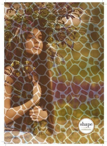 Shape Notebooks Σπιράλ Τετράδιο Ριγέ Β5 90 Φύλλων 3 Θεμάτων (Διάφορα Σχέδια/Χρώματα)