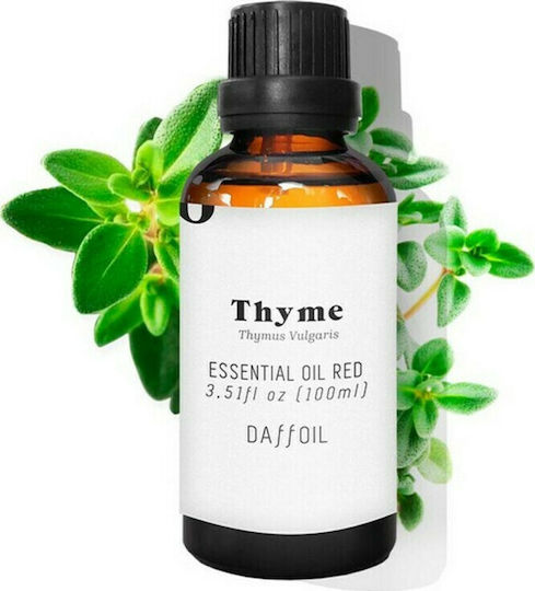 Daffoil Thyme Ätherisches Öl 100ml