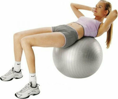 Ruilin 100624 Pilates Ball 75cm 1.28kg Gray