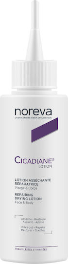 Noreva Cicadiane Moisturizing Face Lotion Day 100ml