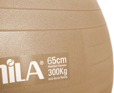 Amila Μπάλα Pilates 65cm, 1.50kg σε Χρυσό Χρώμα Bulk