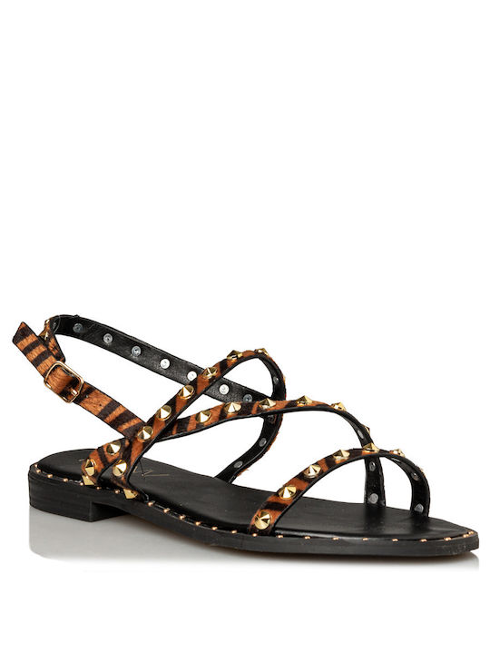 Envie Shoes Women's Flat Sandals in Brown Color