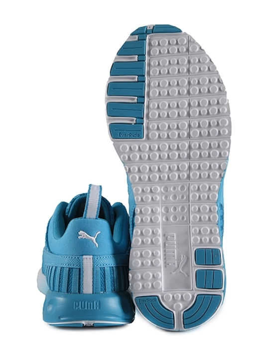 Carson Linear Sport Shoes Running Turquoise