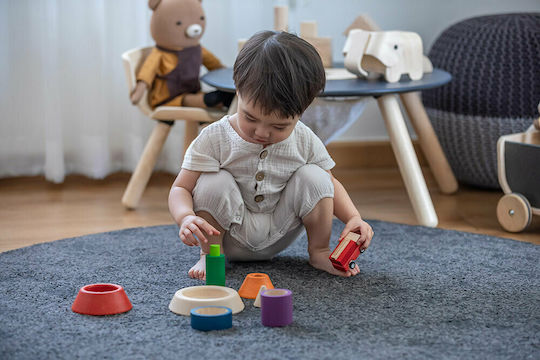 Plan Toys Играчка за подреждане Конус за сортиране от дърво за 18++ месеца