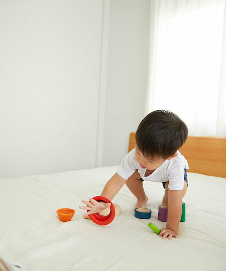 Plan Toys Играчка за подреждане Конус за сортиране от дърво за 18++ месеца