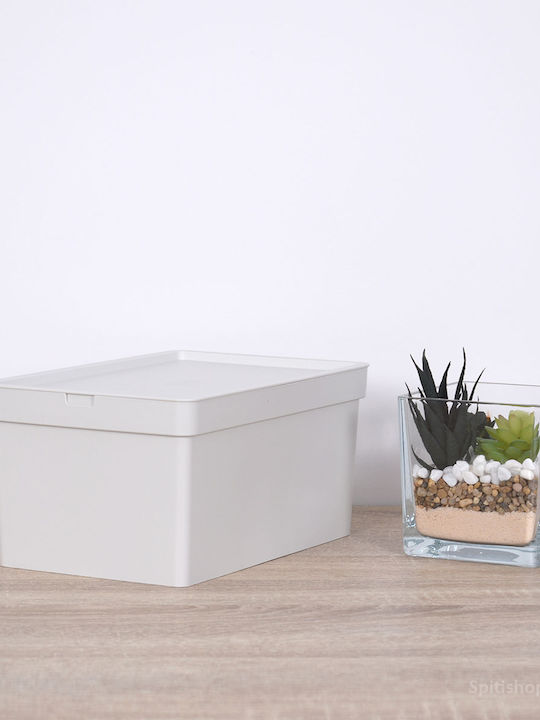 Viomes Nova 188.681 Plastic Storage Box with Lid Transparent 28x18x13.5cm