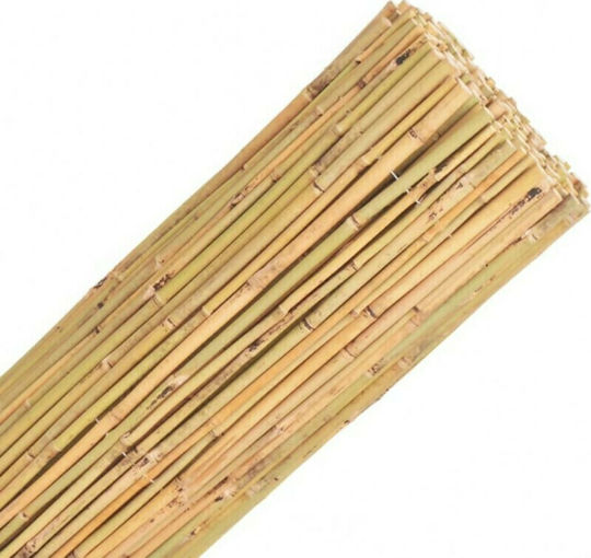 Showood Καλαμωτή Μπαμπού με Ολόκληρο Ξύλο 1x3m