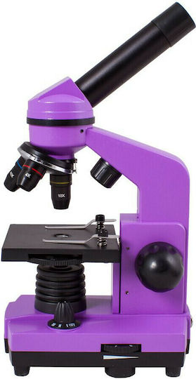 Levenhuk Rainbow 2L Biological Monocular Microscope Purple 400x Amethyst