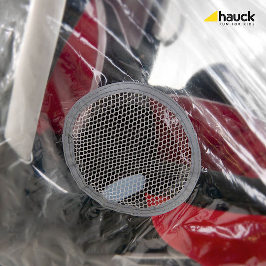Hauck J-H.618202