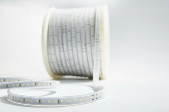Cubalux Waterproof LED Strip 220V Natural White Light 25m