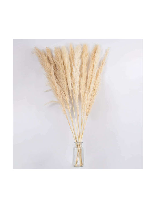 GloboStar Dried Plant Pampas Grass Beige/Ecru 120cm with LED 1pcs