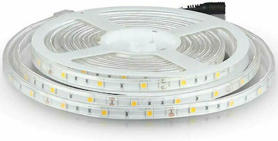 V-TAC Rezistentă la apă Bandă LED Alimentare 12V RGB Lungime 5m și 30 LED-uri pe Metru SMD5050