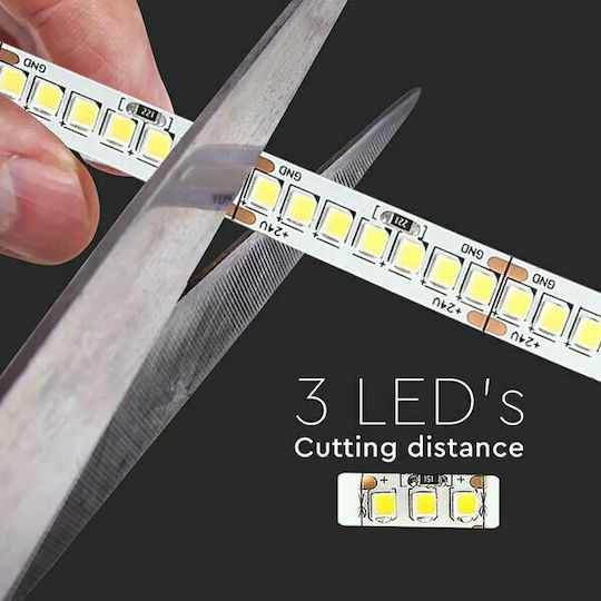 V-TAC LED Strip 24V Cold White Light 5m Type SMD2835