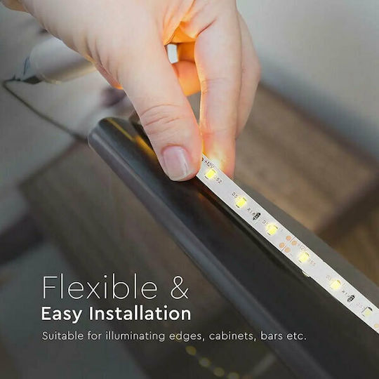 V-TAC LED Strip 12V Blue Light 5m Type SMD3528