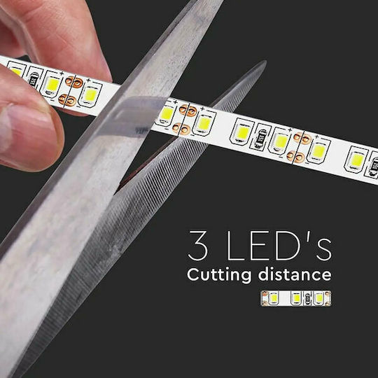 V-TAC Ταινία LED 12V Ψυχρό Λευκό Φως 5m Τύπου SMD3528