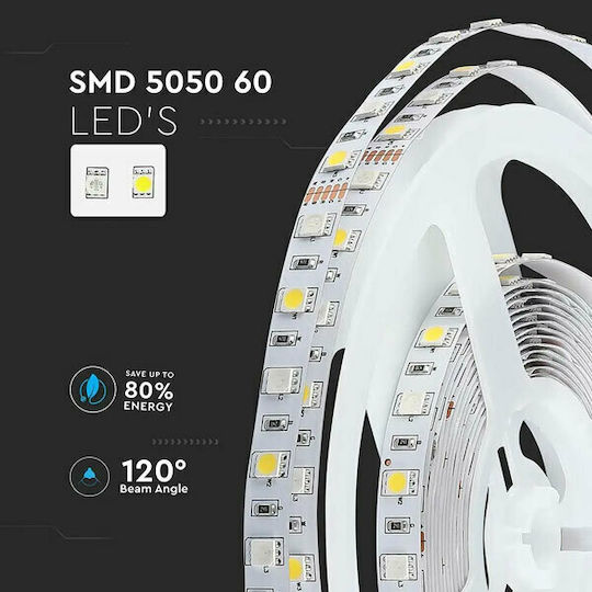 V-TAC LED-Streifen 12V RGBW Licht 5m Typ SMD5050