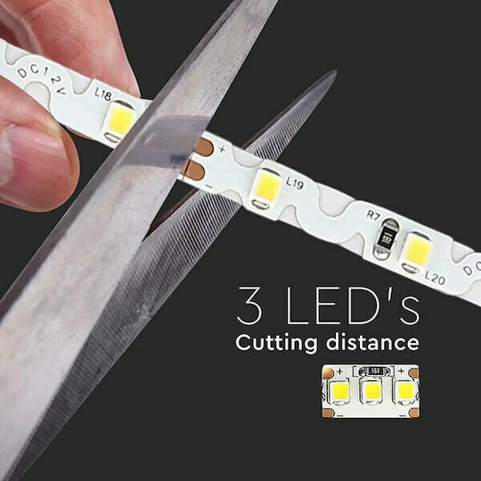 V-TAC Ταινία LED 12V Ψυχρό Λευκό Φως 5m Τύπου SMD2835
