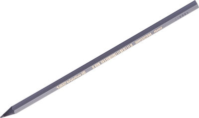 Bic Evolution Pencil HB Gray