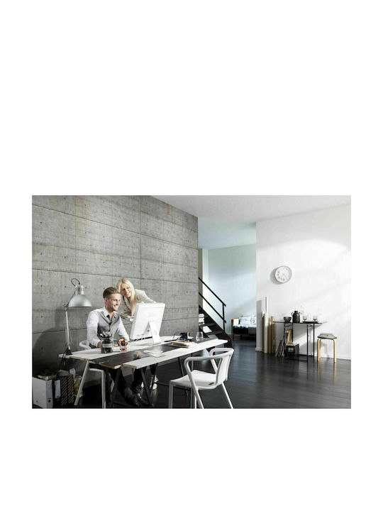 Wallpaper Paper Gray L368xW254cm