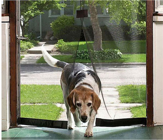 InnovaGoods Pet Friendly Moskitonetz Tür mit Klebeband mit Magnetverschluss Schwarzes 210x100cm