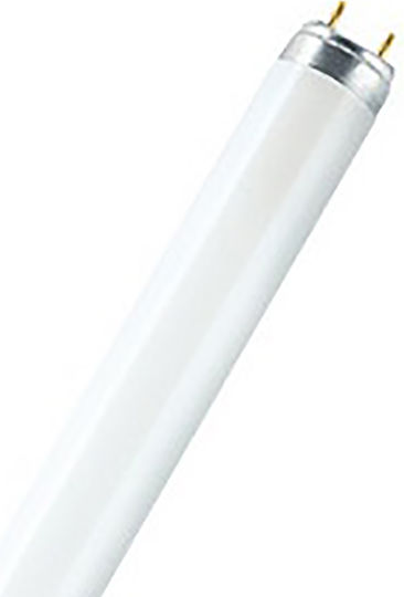 Ledvance Fluorescent Lamp for G13 Socket with T8 Shape and Natural White Light 36W