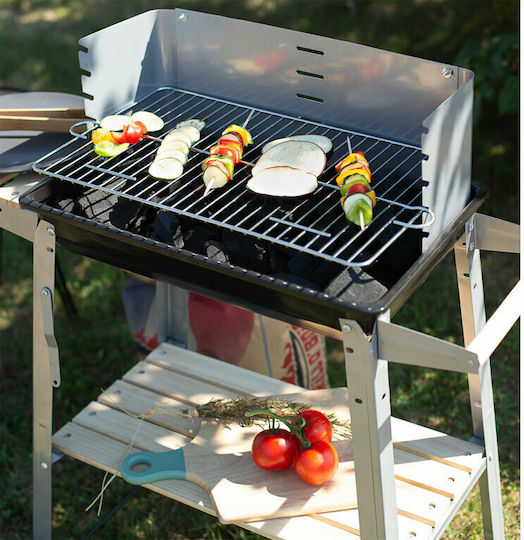 Livoo Charcoal Grill 88cmx33cm
