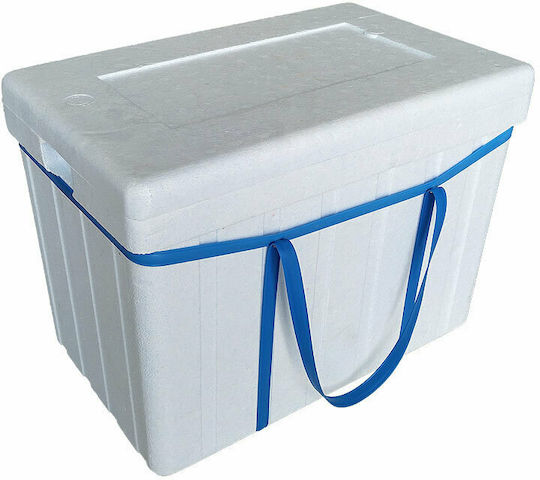 Viosarp Portable Fridge 32L White