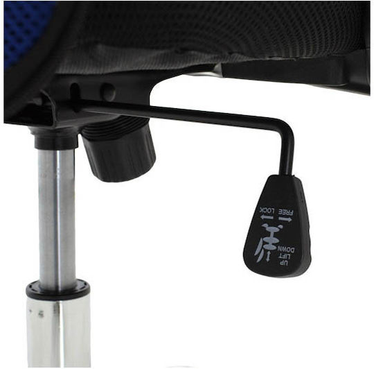 Homeplus Office Chair with Arms Black / Blue