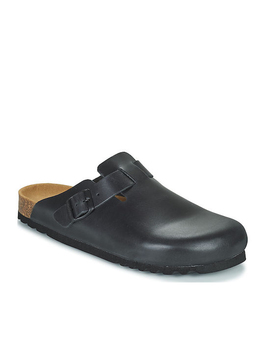 Scholl Scholl