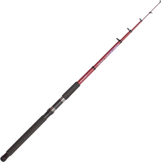 Oceanic Mentor Fishing Rod for Surf Casting 2.10m 40-80gr