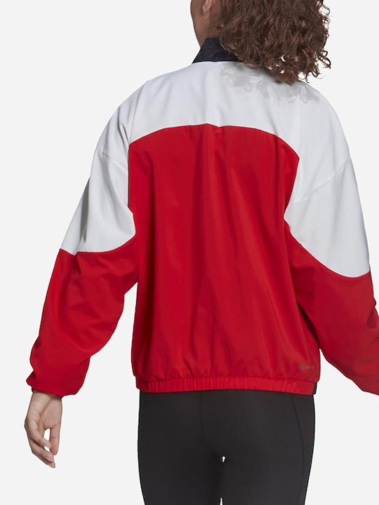 adidas Αθλητικό Μπουφάν Ink/White/Red